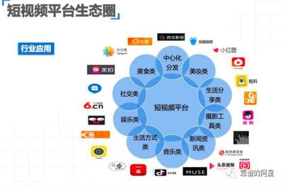 破解增量難題，移動(dòng)互聯(lián)網(wǎng)步入SDPA時(shí)代 社交媒體行業(yè)的新航向